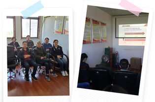 凝聚青年力量 彰顯時代擔(dān)當(dāng)——上海寶郊園商務(wù)信息咨詢黨支部組織收看主題講座